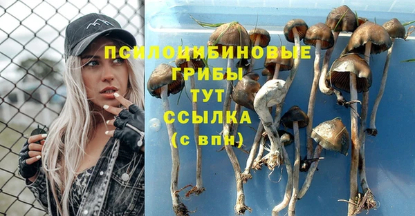 таблы Горно-Алтайск