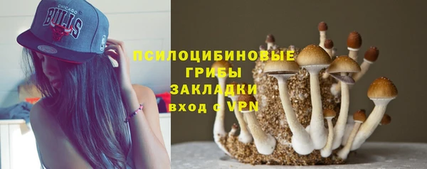 кристаллы Горнозаводск
