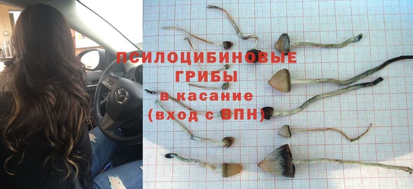 таблы Горно-Алтайск
