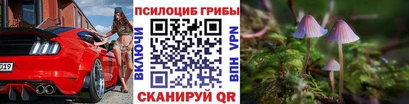 Купить где  Кизилюрт  Псилоцибиновые грибы мицелий 